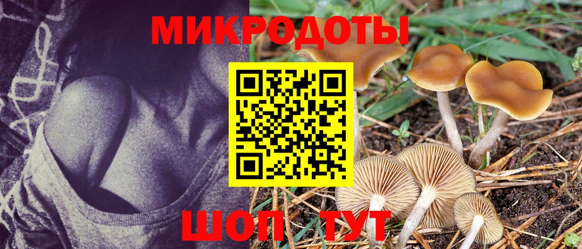 Галлюциногенные грибы Psilocybe Ликино-Дулёво